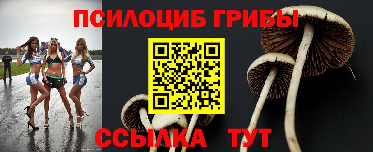 Псилоцибиновые грибы GOLDEN TEACHER Волгодонск