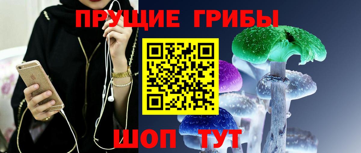 Волгодонск  Псилоцибиновые грибы Cubensis  Вход с VPN 